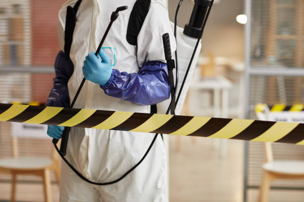 Professional Sewage Cleanup technician working in Nederland, TX